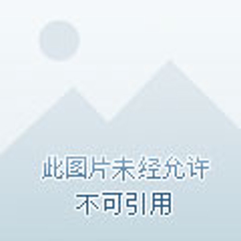 供应链管理:行业发展的隐形之手